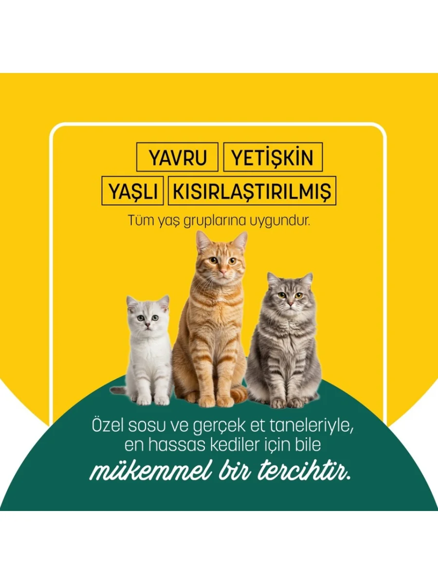Petzzcats Ton Balığı & Kalamar Konserve Kedi Maması 1 Adet 70 gr