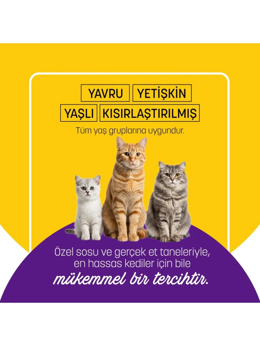 Petzzcats Ton Balığı & Midye Konserve Kedi Maması 1 Adet 70 gr