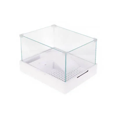 Filtreli Lambalı Cam Kaplumbağa Bahçesi 40x29x25 Cm