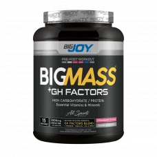 Big Mass +GH Factors Çilek 1500 Gr