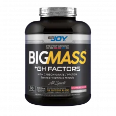 Big Mass +GH Factors Çilek 3000 Gr