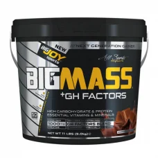 Big Mass +GH Factors Muz 5000 Gr