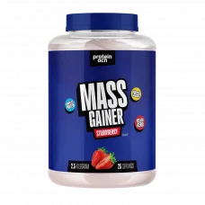 Mass Gainer Çilek 2500 Gr