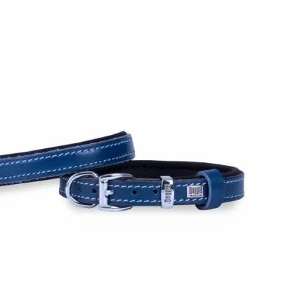 Konfor Deri Köpek Boyun Tasması Royalblue 1,5x20 25 Cm