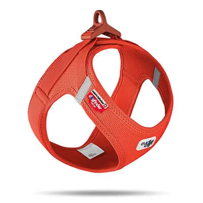 Vest Harness Köpek Göğüs Tasması Turuncu Small 38,3x43,3 Cm