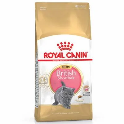 British Shorthair Kitten Yavru Kedi Maması 2 Kg