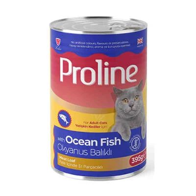 Okyanus Balıklı Pate Yetişkin Kedi Konservesi 24 Adet 395 Gr