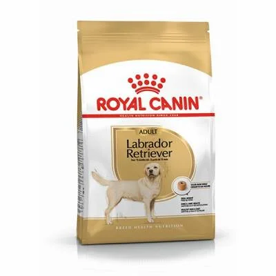Labrador Retriever Adult Yetişkin Köpek Maması 12 Kg