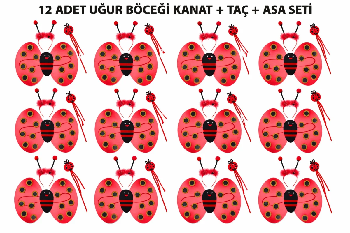 Uğur Böceği Kostüm Seti - Kanat Taç Asa 3 Parça 12 Adet