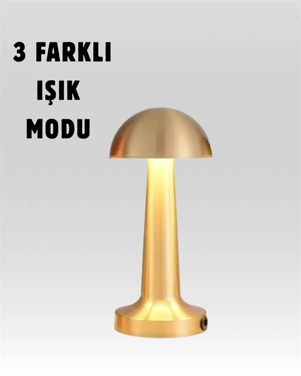 %100 Kademeli Ayarlanabilir Işık – USB Şarjlı Masa Lambası