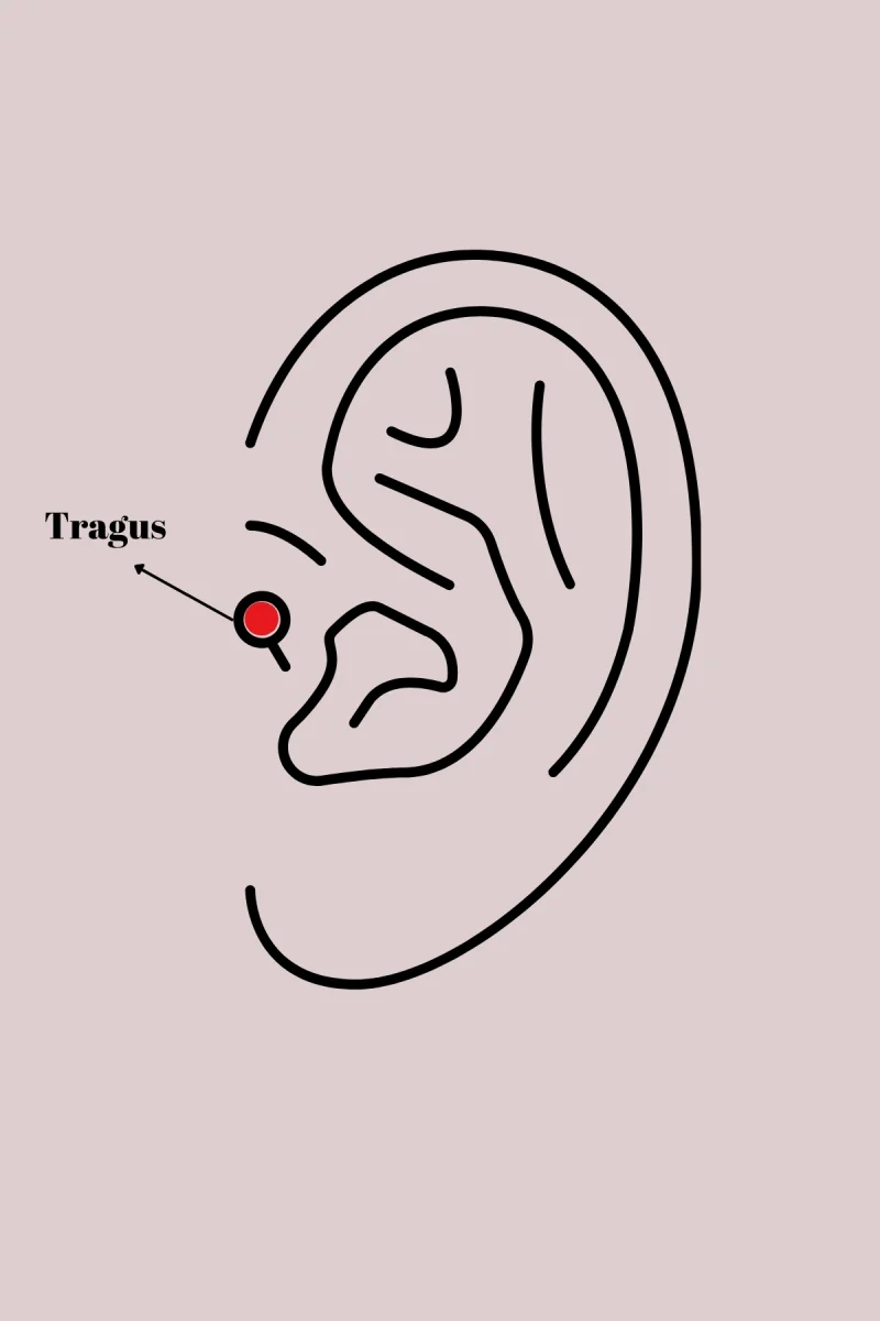 316L Çelik Gümüş Renk Zirkon Taşlı Sallantı Kalp Detay Tragus Piercing 5886