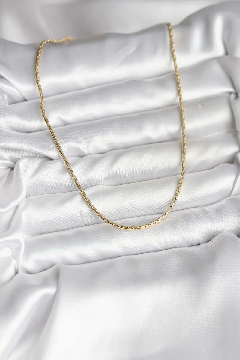14K Gold Renk Kaplama İnce Zincir Model CM Kadın Kolye 5886