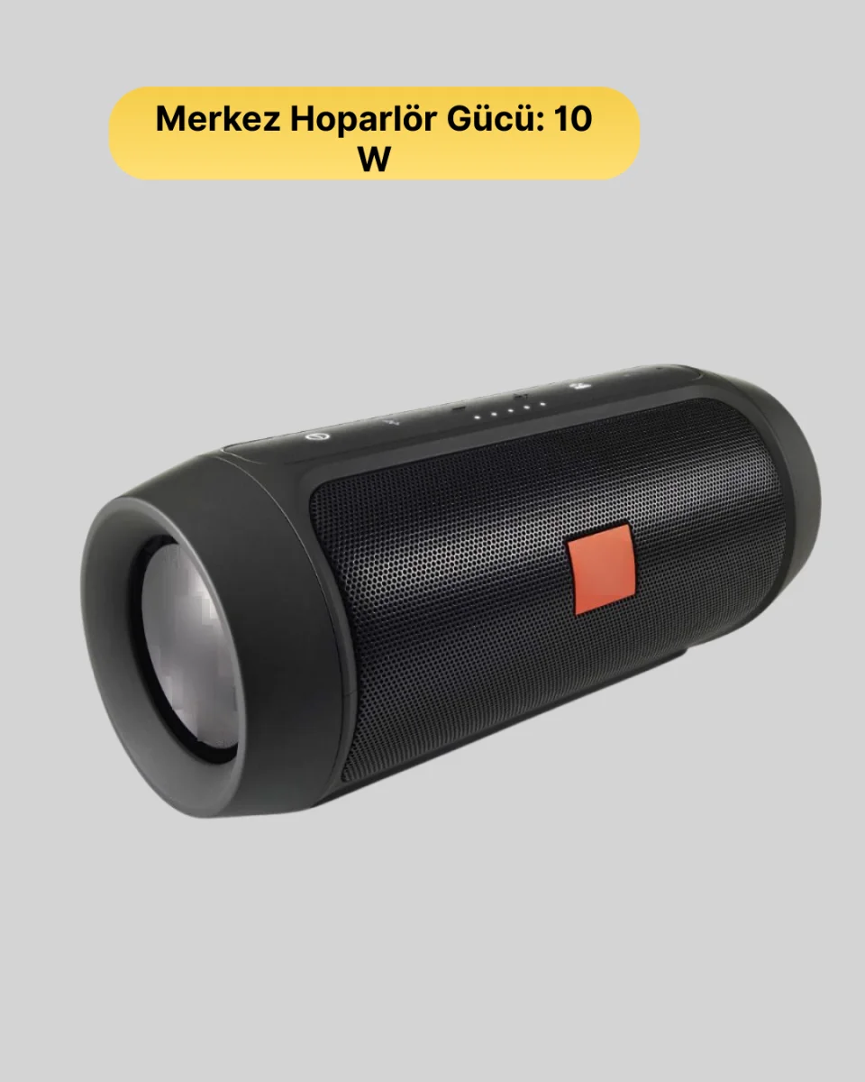 20W Güçlü Ses Bluetooth Hoparlör Dahili Batarya Suya Dayanıklı