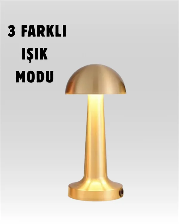 %100 Kademeli Ayarlanabilir Işık – USB Şarjlı Masa Lambası