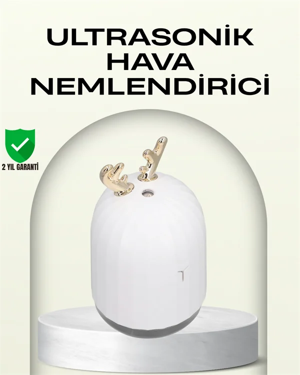 ABS+PP Malzemeli Taşınabilir 220 ml USB Mist Nemlendirici