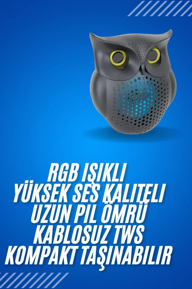 Siyah Bluetooth Hoporlör Baykuş Speaker Bluetooth 5.0 Bağlantılı