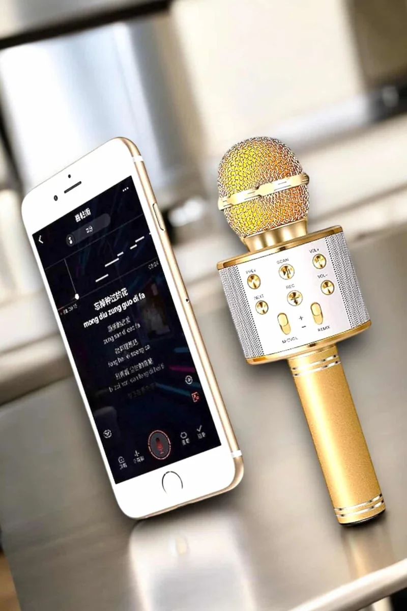 Şarjlı ve Uzun Pil Ömürlü Karaoke Mikrofon USB Bellek Destekli, Profesyonel Ses