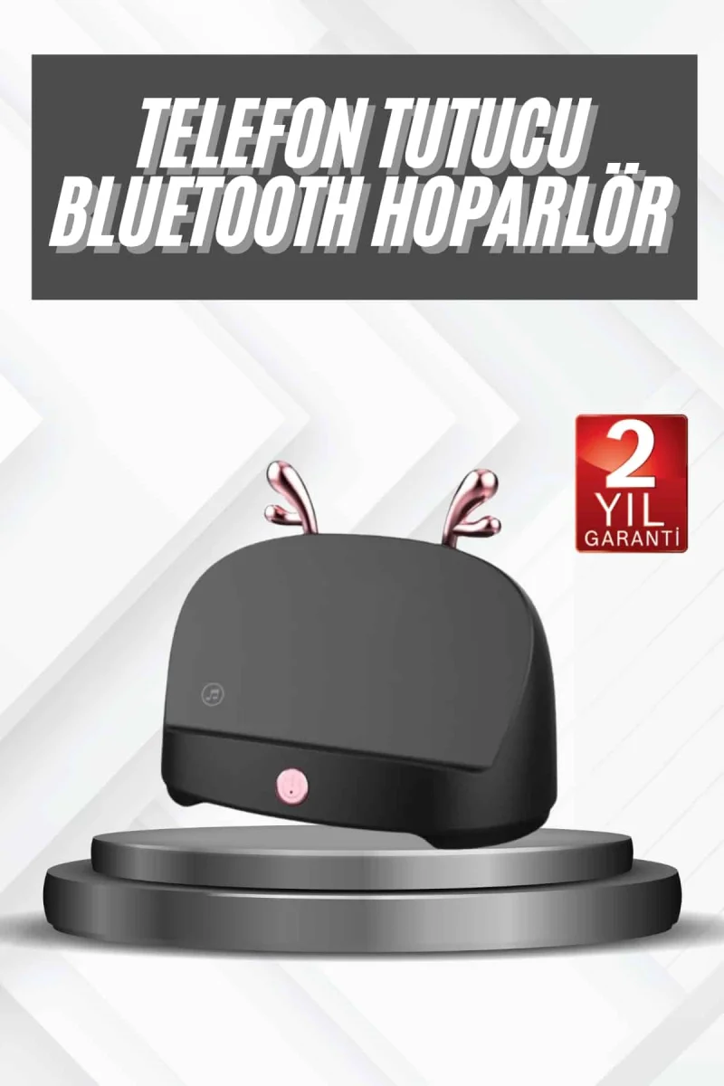 Kablosuz Bluetooth Hoparlör Telefon Koyma Özelliği Yüksek Ses Kaliteli