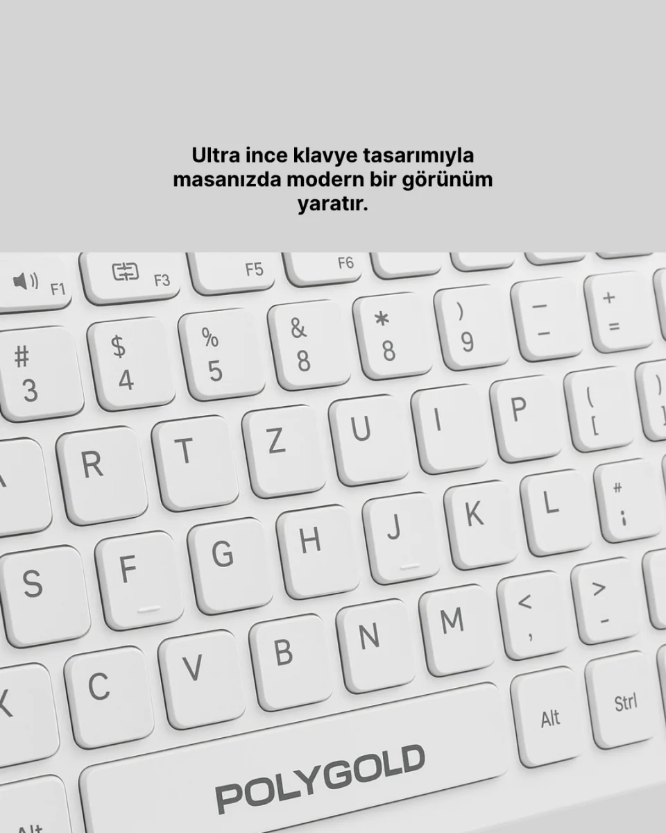 PG-8040 KLAVYE VE MOUSE SETİ