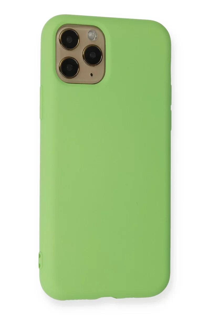 Newface Apple iPhone 11 Pro Kılıf Nano içi Kadife Silikon - Yeşil