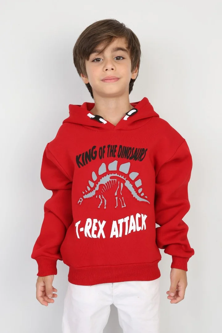 Üç İplik Şardonlu Baskılı Kapşonlu Erkek Çocuk Günlük Sweatshirt
