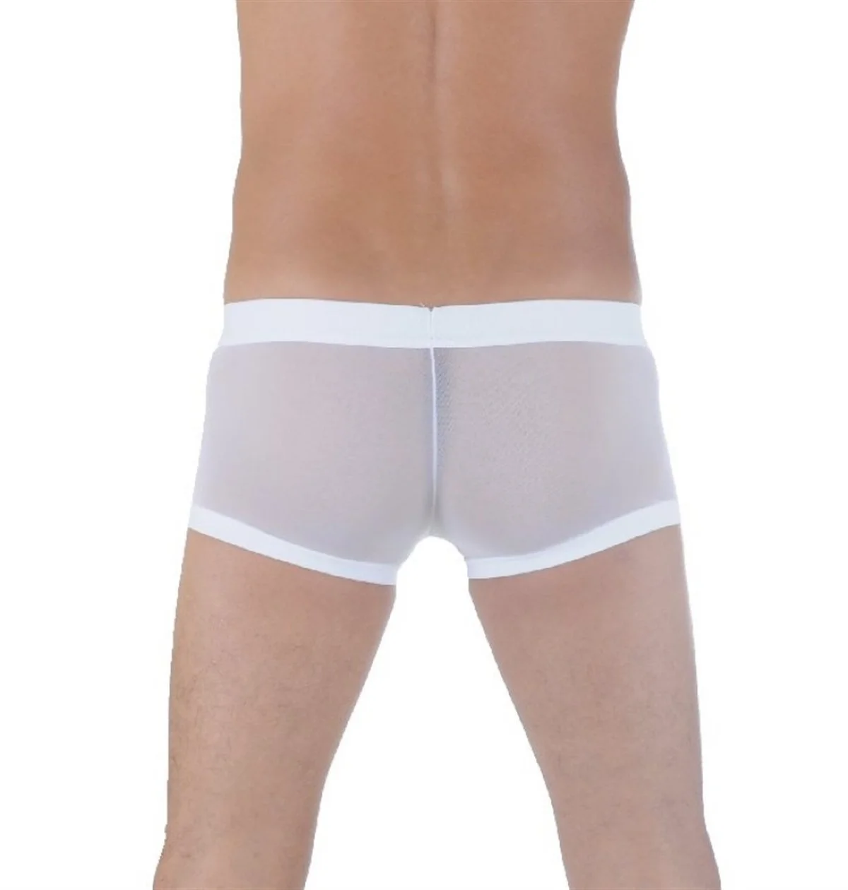 Br291125 Transparan Boxer