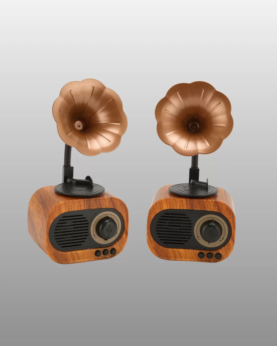 Kablosuz Retro Radyo Hoparlör 5W Güçlü Ses USB Hafıza Kart Destekli Yeni Nesil