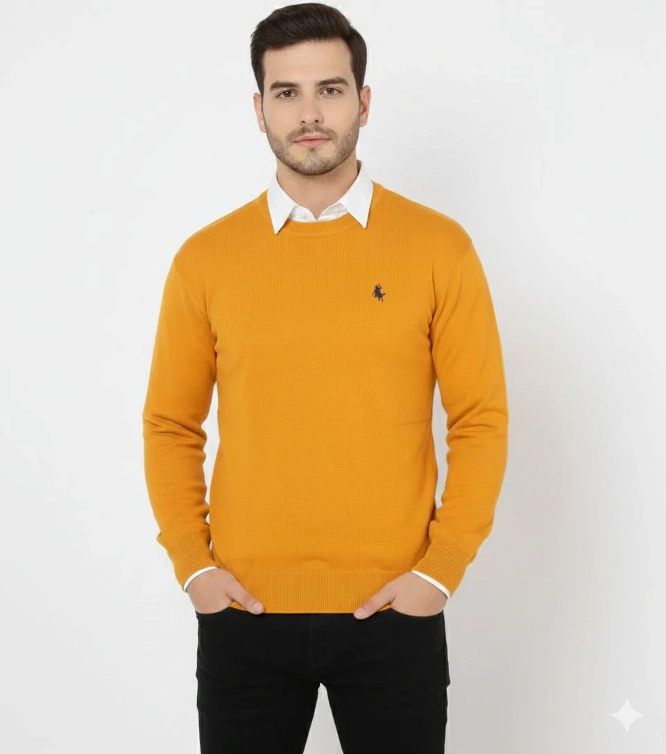 Bisiklet Yaka Nakış işlemeli Triko Kazak yumuşak dokulu Pamuklu ince Dokuma, uzun kollu Rahat Regular kalıp - Turuncu