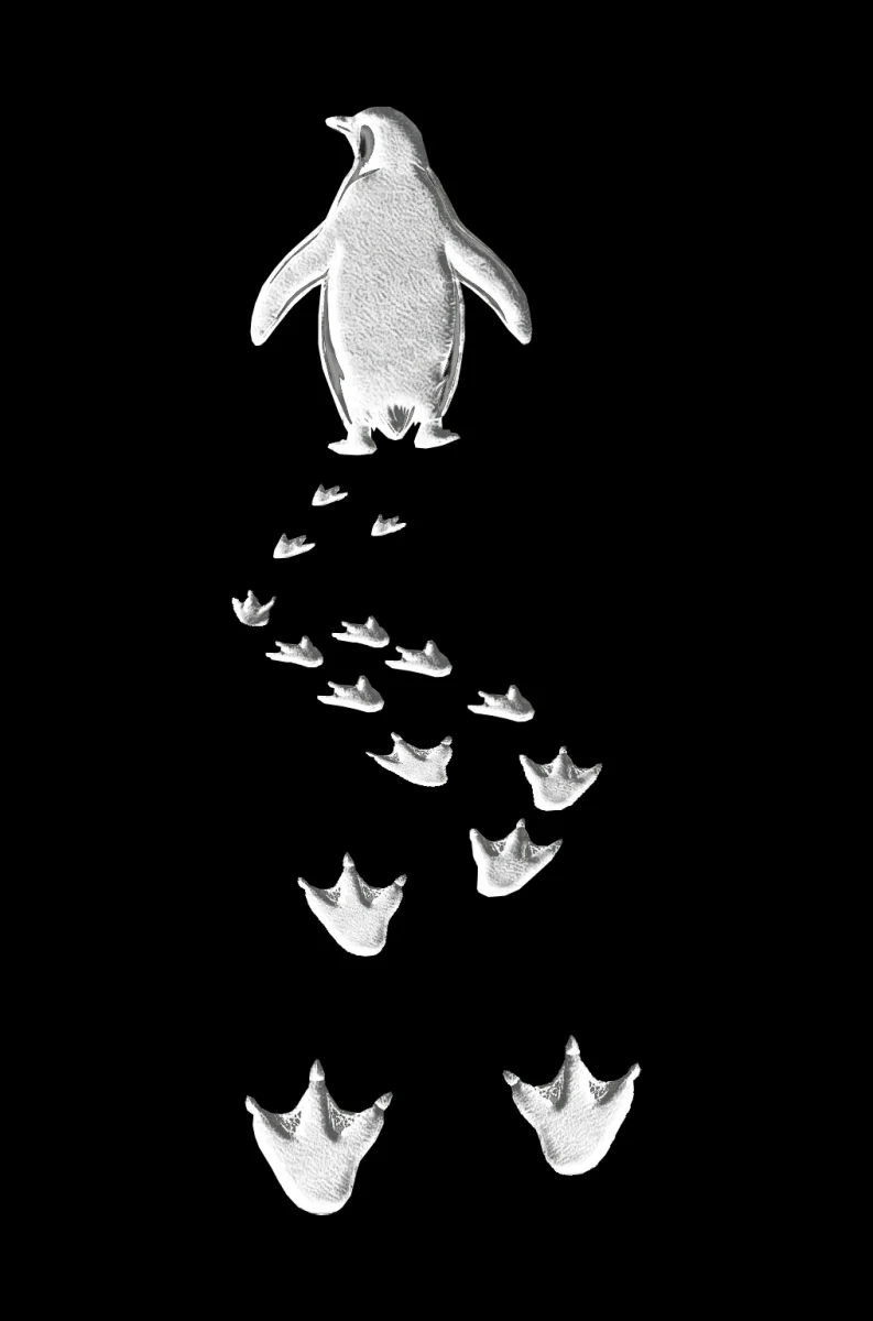 Kadın Nihilist Penguen Temalı Oversize Bisiklet Yaka Tişört - Siyah