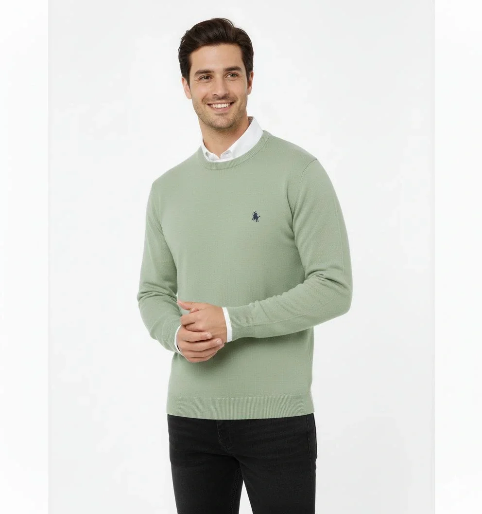 Bisiklet Yaka Nakış işlemeli Triko Kazak yumuşak dokulu Pamuklu ince Dokuma, uzun kollu Rahat Regular kalıp - Mint Yeşili