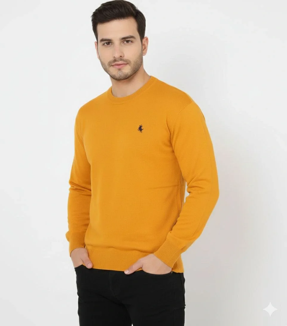 Bisiklet Yaka Nakış işlemeli Triko Kazak yumuşak dokulu Pamuklu ince Dokuma, uzun kollu Rahat Regular kalıp - Turuncu