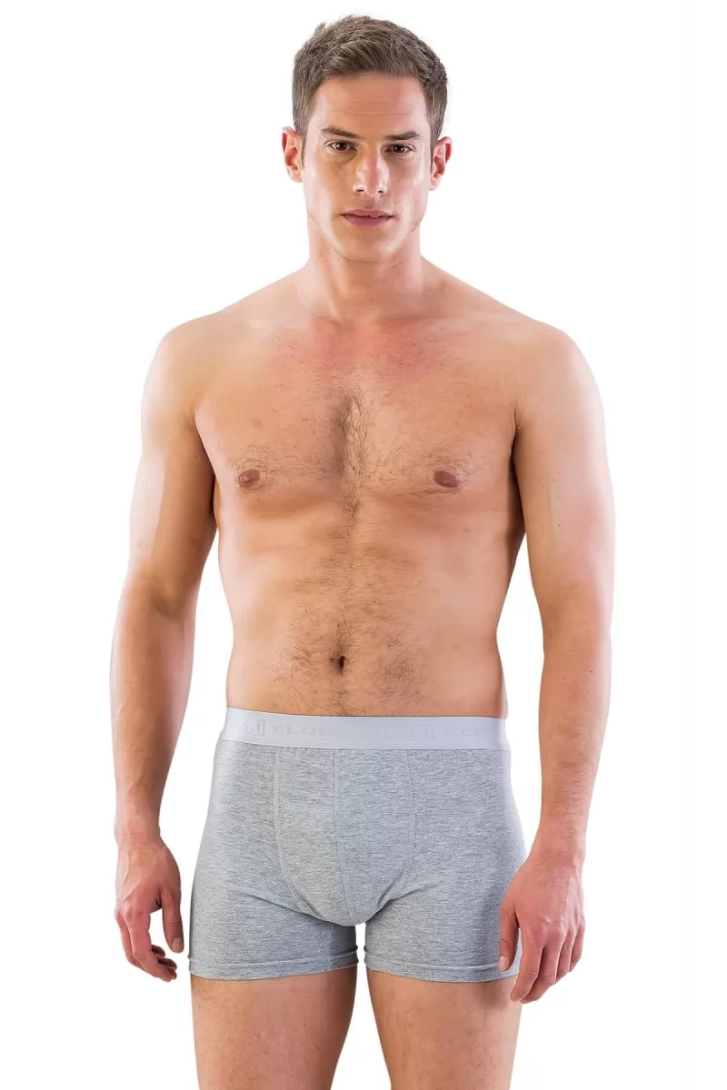 Gri Mı Emay 6800 Erkek Boxer