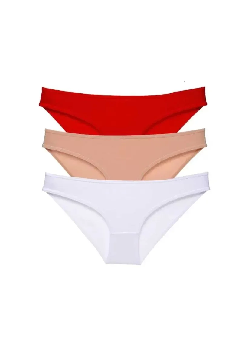 3 Adet Süper Eko Set Likralı Kadın Slip Külot 541