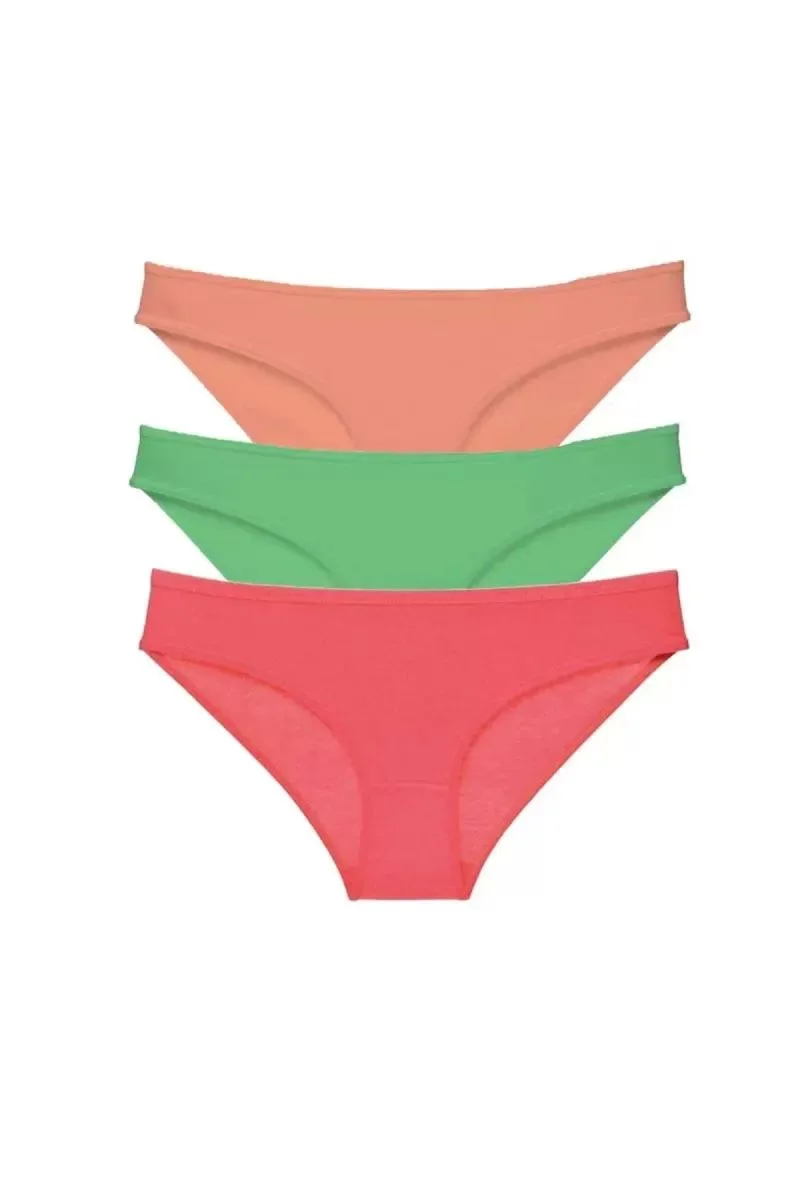 3 Adet Süper Eko Set Likralı Kadın Slip Külot 543