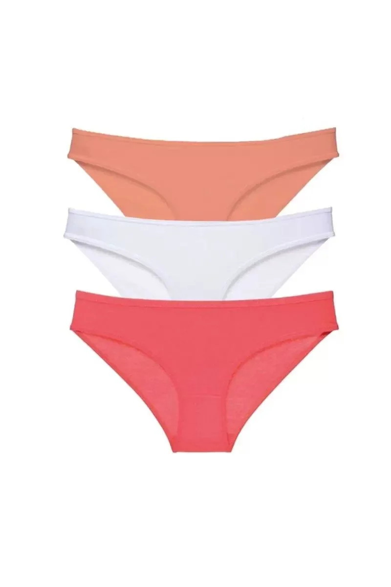 3 Adet Süper Eko Set Likralı Kadın Slip Külot 545