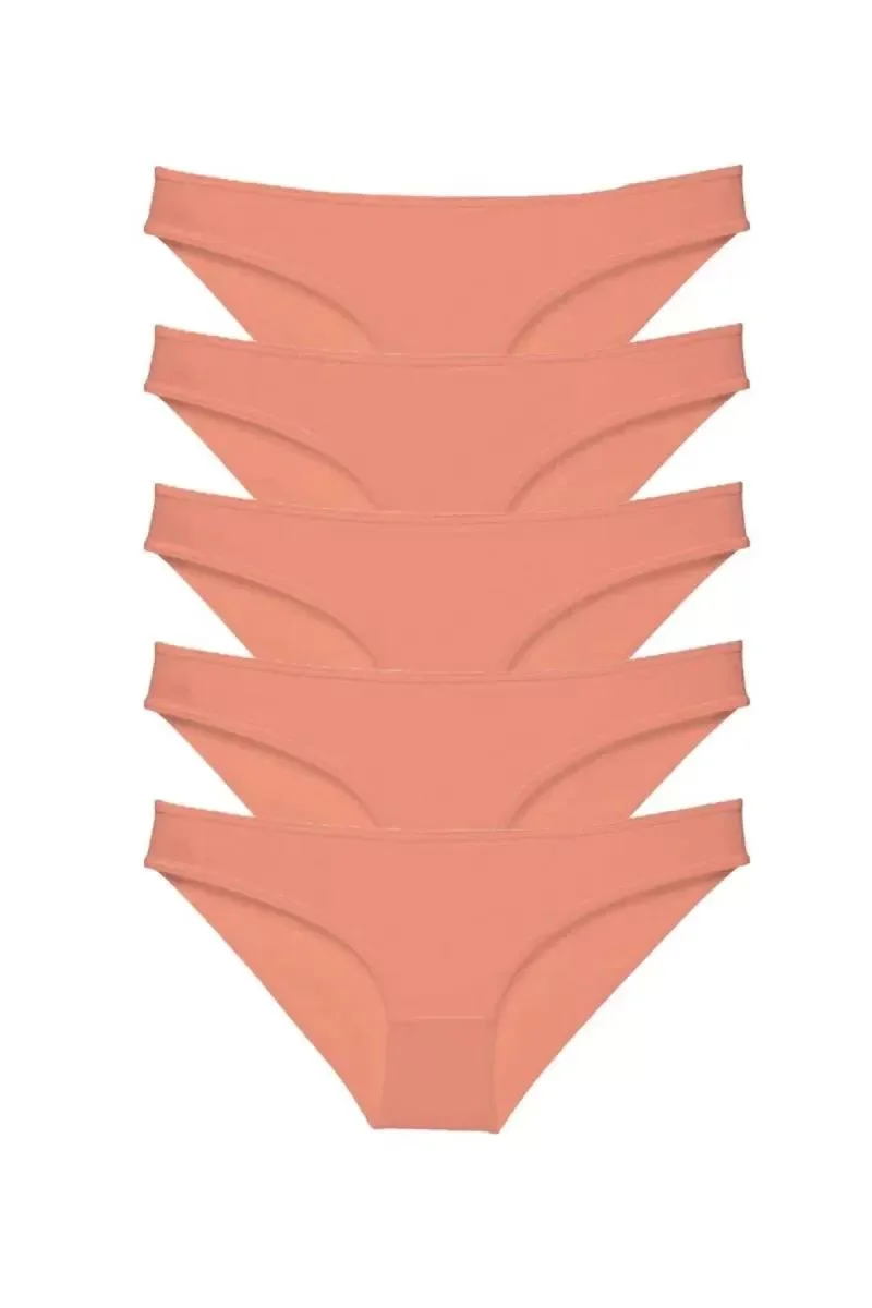 5 Adet Süper Eko Set Likralı Kadın Slip Külot Pudra